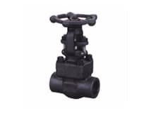 API 602 Forged Steel Valves