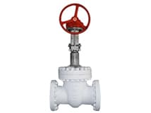 Cryogenic Gate Valves