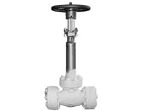 Cryogenic Globe Valves