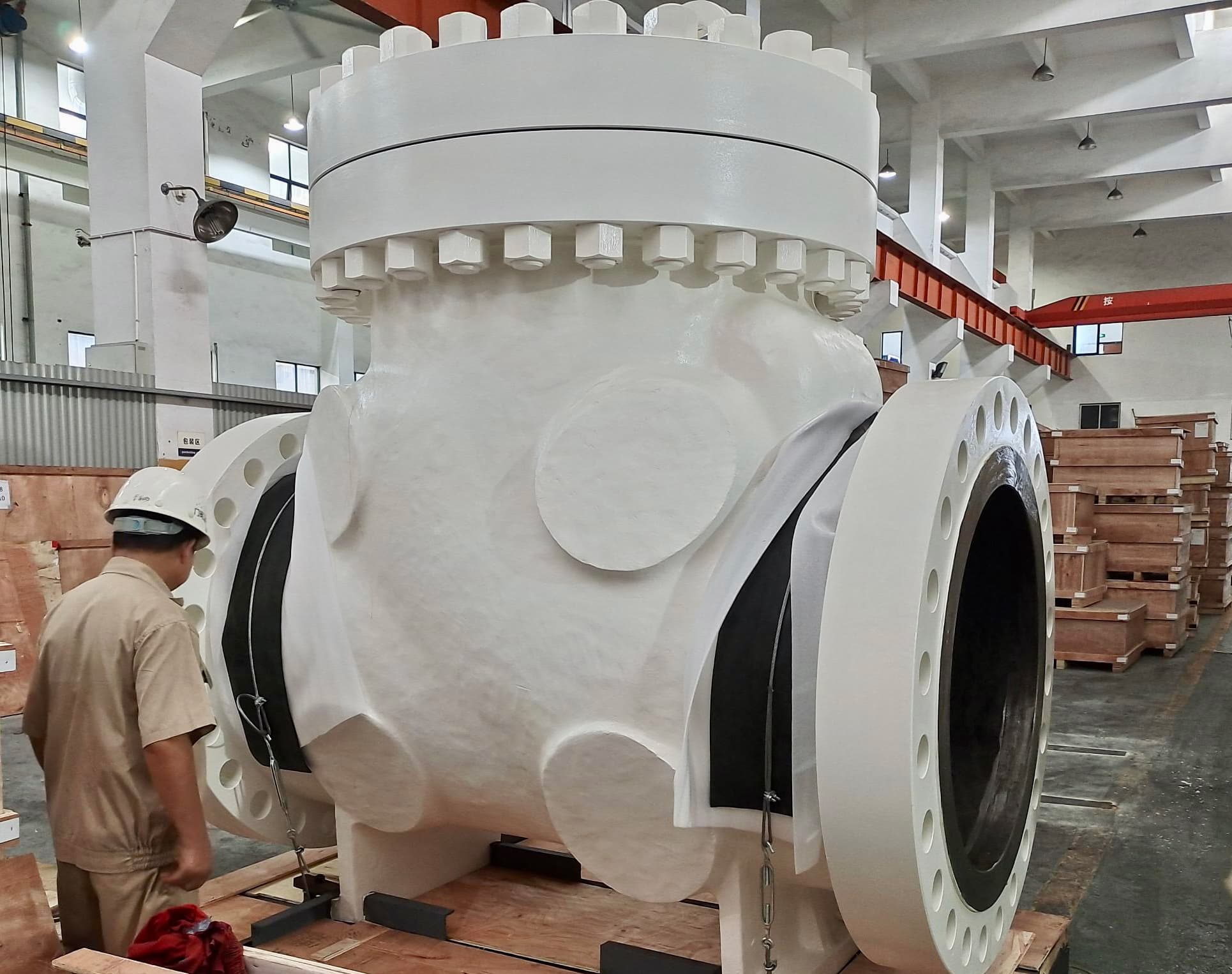 Specialty Check Valves