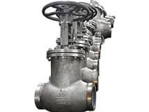 Bellows Seal Globe Valves