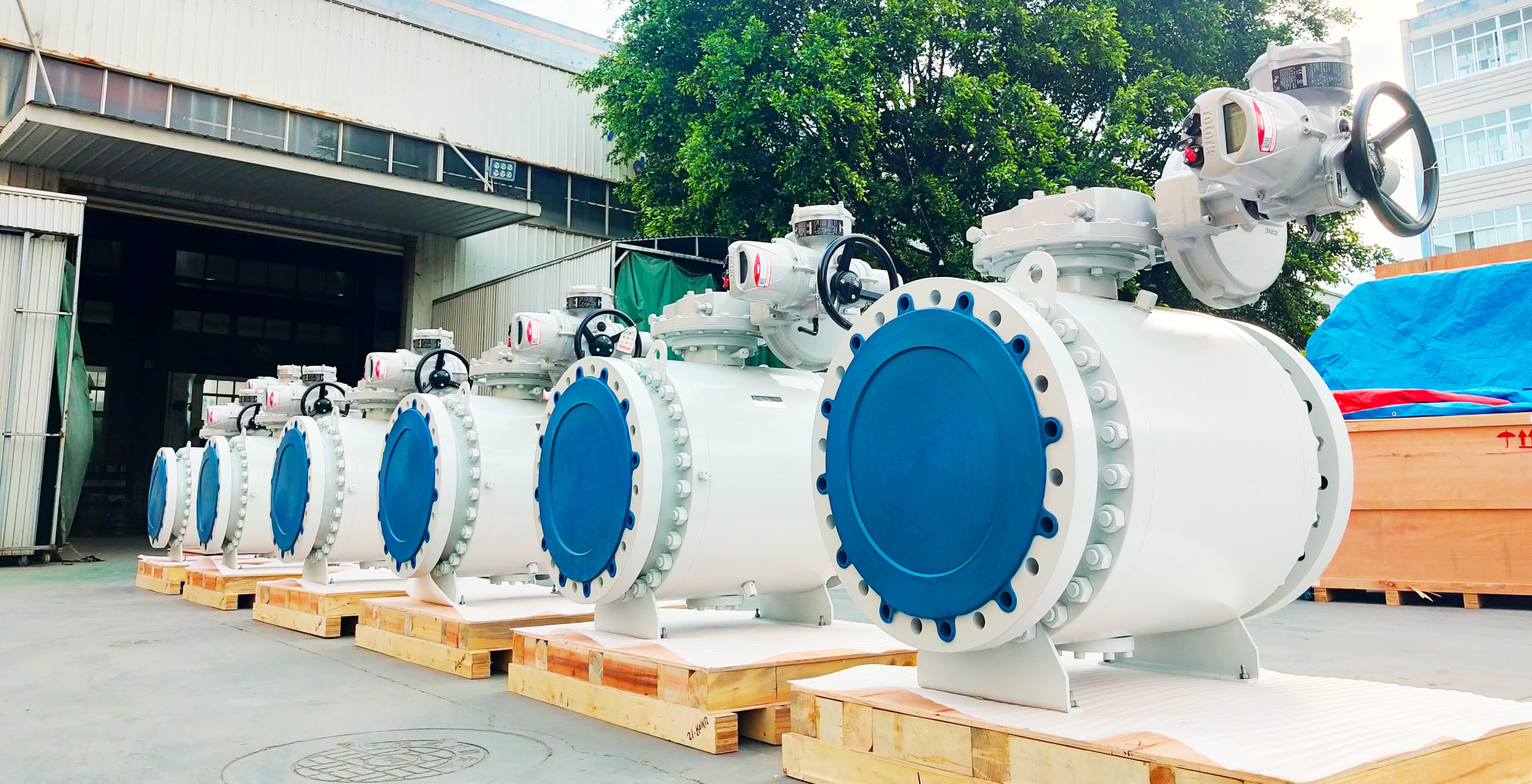 Trunnion Ball Valves