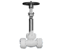 Cryogenic Globe Valve