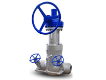 Pressure Seal Gate Valves