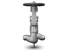 Pressure Seal Globe Valve