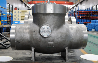 Check Valve